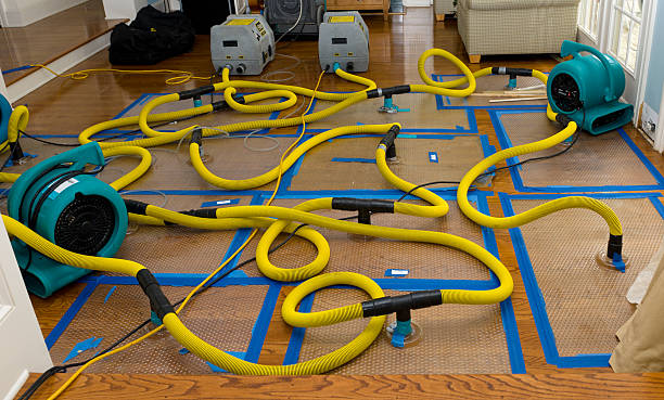 Professional Sewage Cleanup technician working in New London, TX